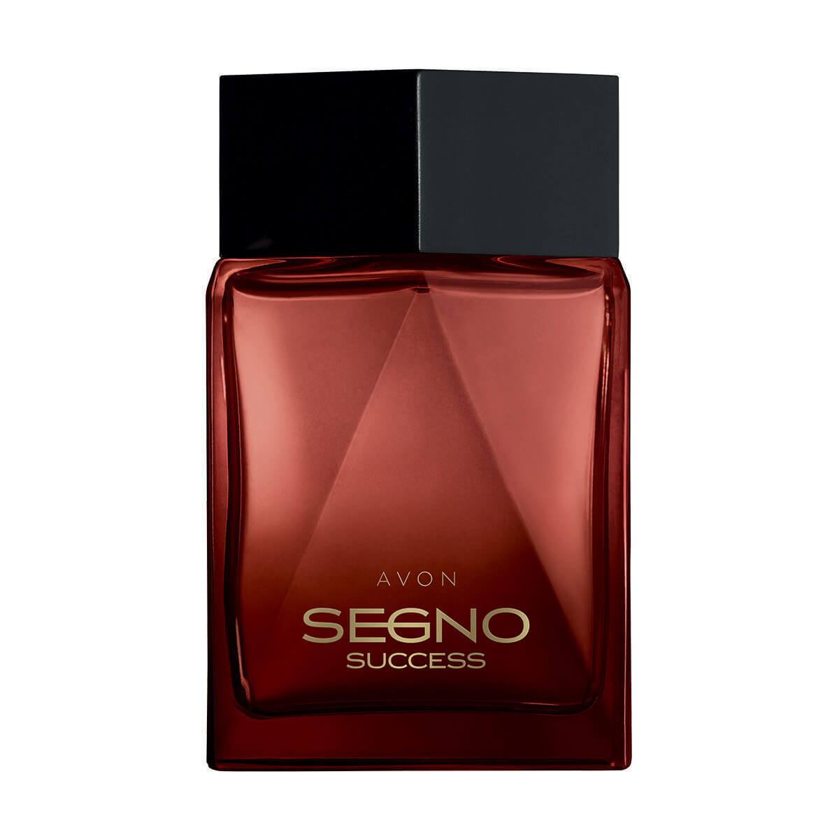 Avon
Segno Success
Eau de Parfum pour homme 75ml